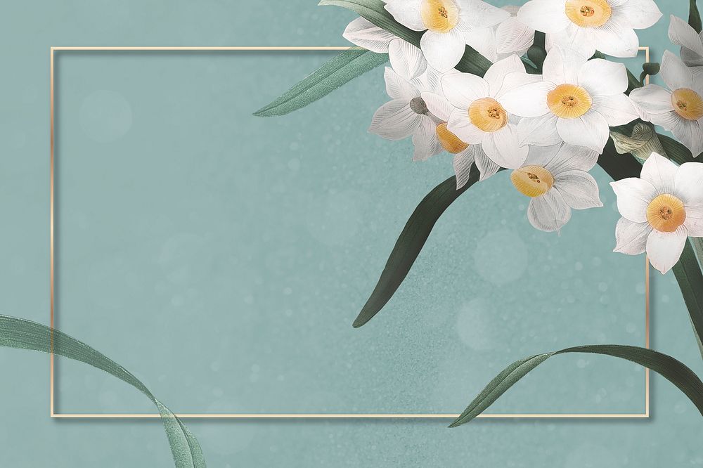 Daffodil border frame on green background