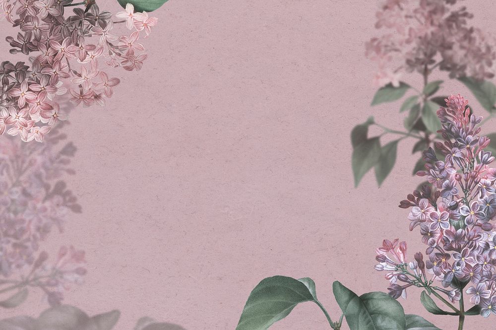 Lilac border on pink background