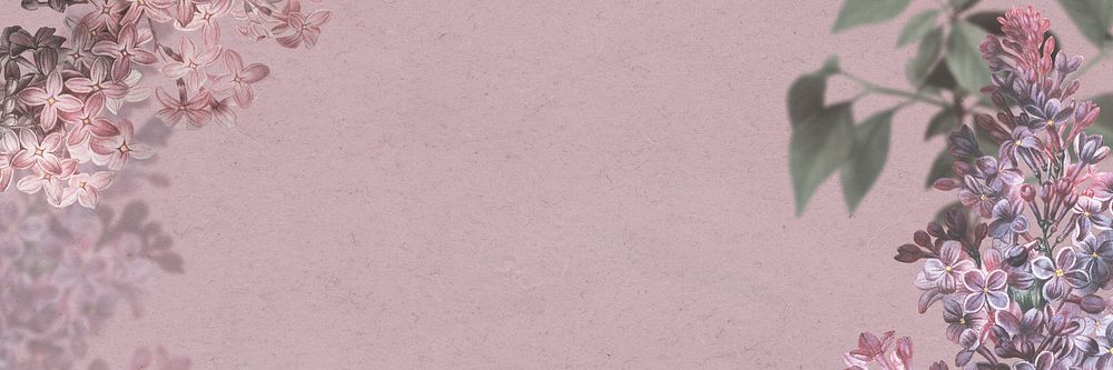 Lilac banner on pink background