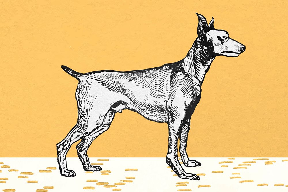 Cute greyhound dog vector vintage illustration on yellow background