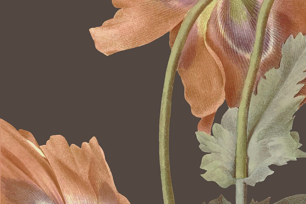 Vintage floral background vector with poppy flower illustration, remixed from public domain artworks