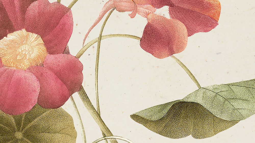 Vintage floral HD wallpaper with monk's cress illustration, remixed from public domain artworks