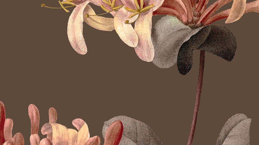 Vintage floral HD wallpaper vector with honeysuckle illustration, remixed from public domain artworks