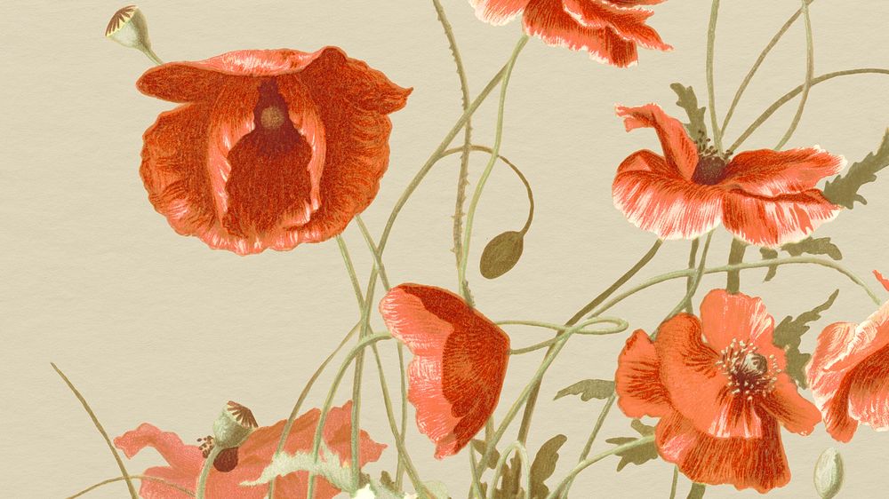 Vintage poppy HD wallpaper illustration, remixed from public domain artworks