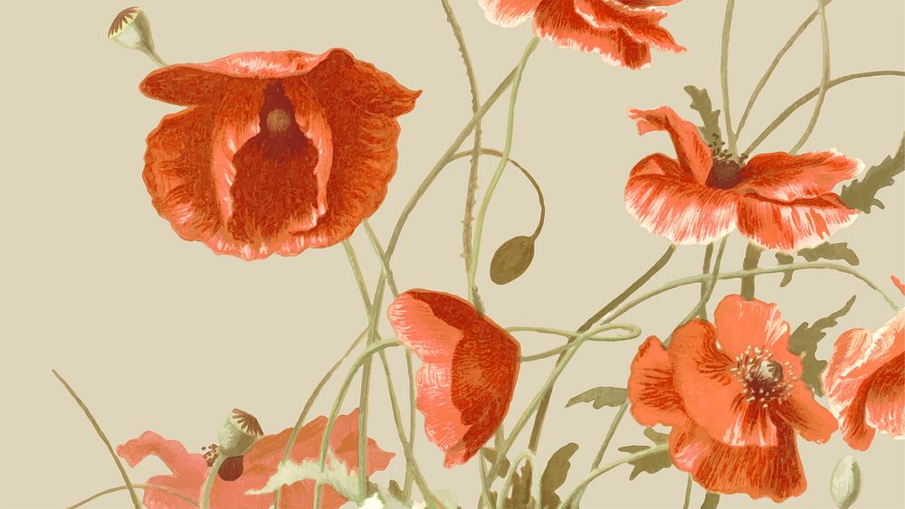 Vintage floral HD wallpaper vector with poppy illustration, remixed from public domain artworks