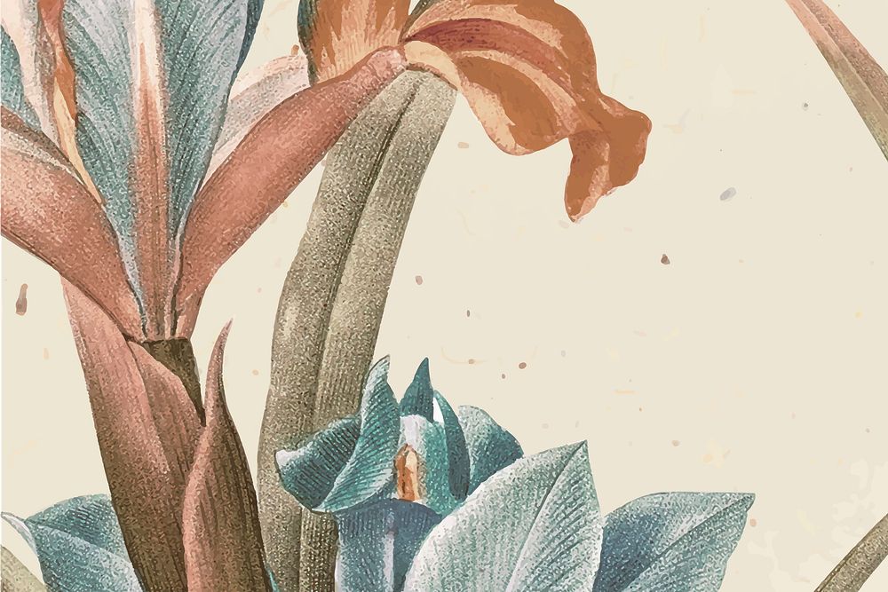 Vintage Spanish iris flower background vector illustration, remixed from public domain artworks