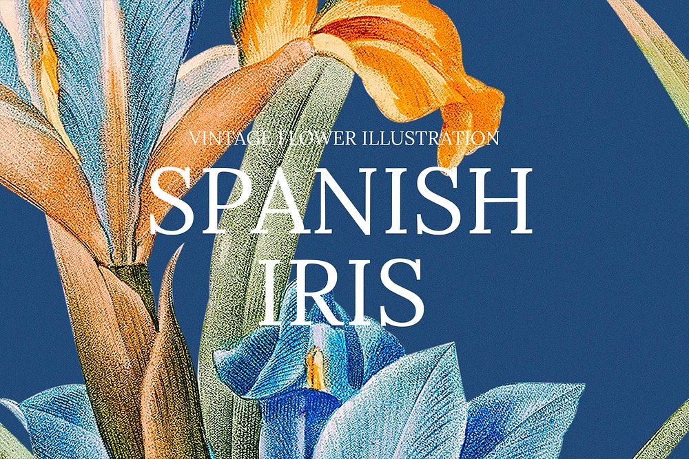 Vintage Spanish iris background illustration, remixed from public domain artworks