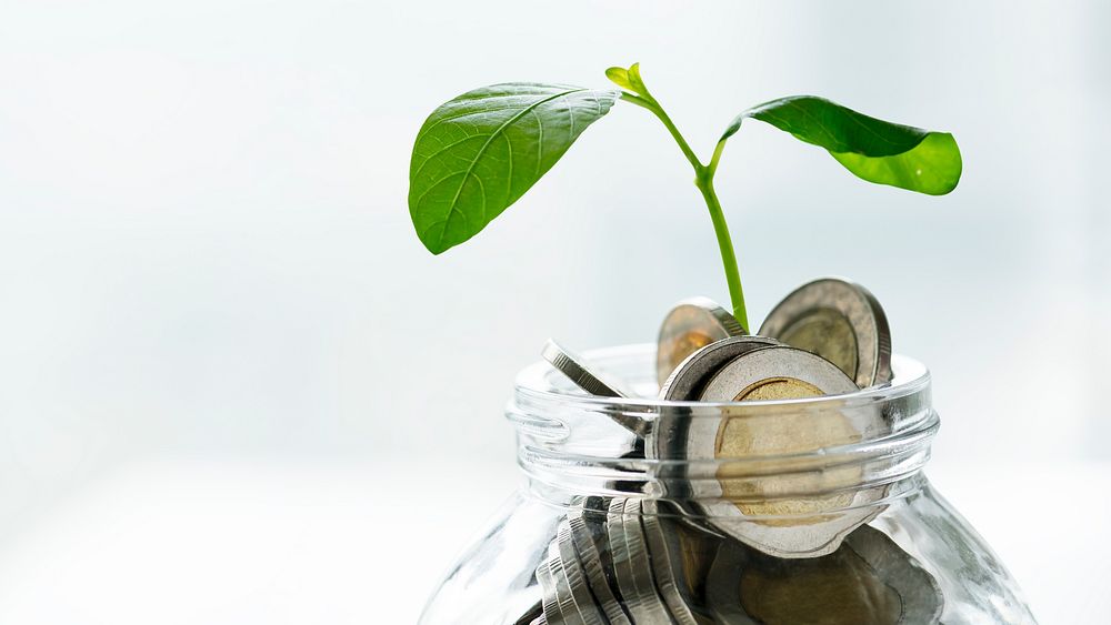 Green economy jar with money and growing plant