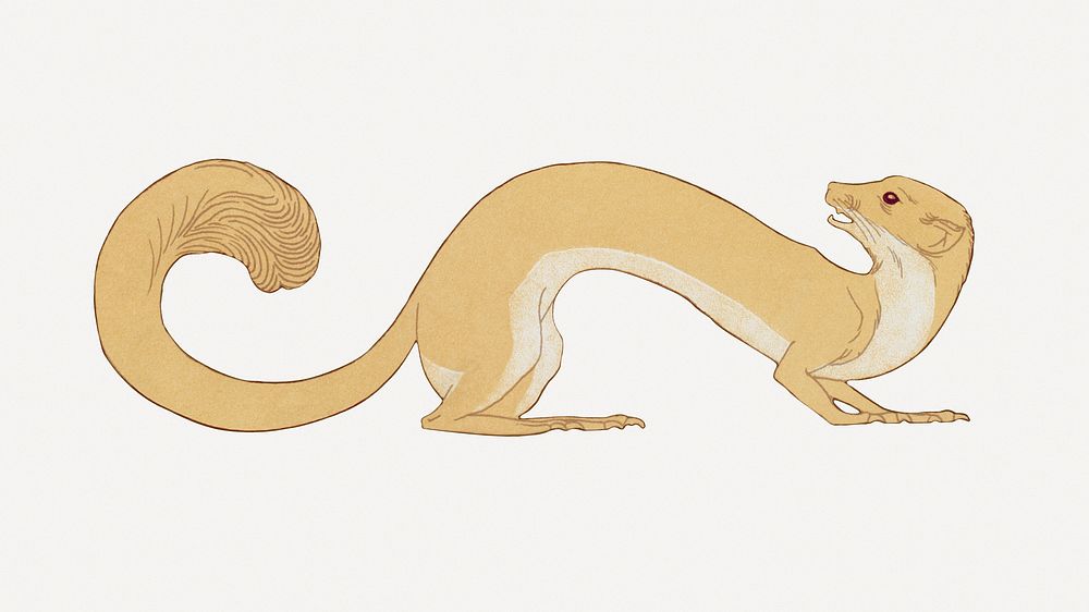 Weasel sticker, vintage animal illustration