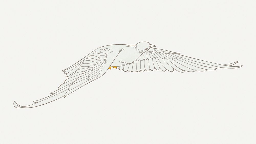 Flying dove bird, vintage animal illustration