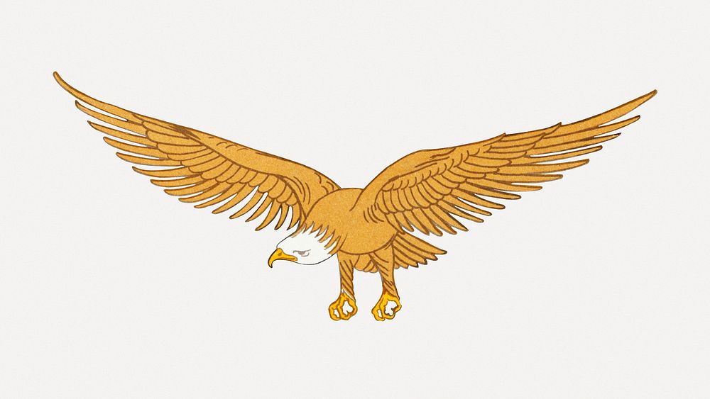 Eagle bird sticker, vintage animal illustration psd
