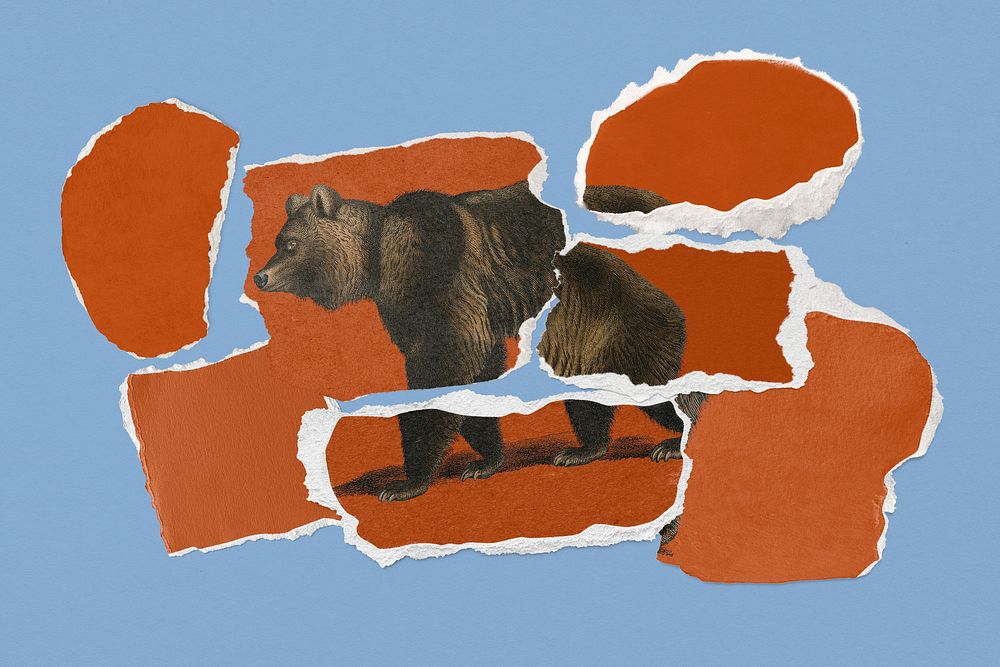 Paper collage mockup, bear design psd