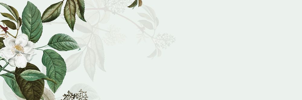 Beautiful hand drawn flowers banner vector