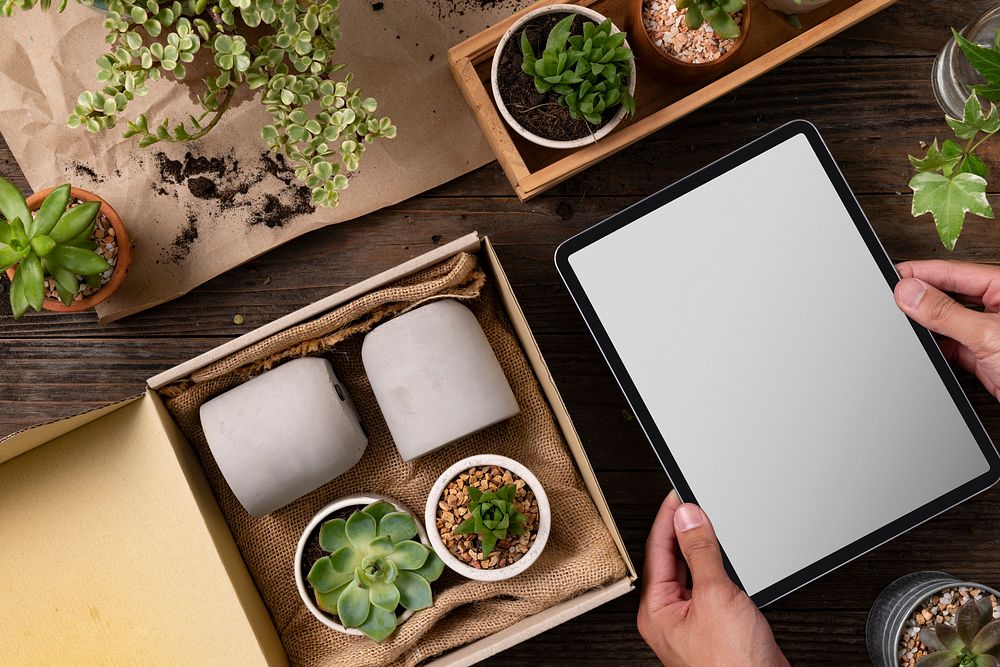 Blank tablet and houseplant delivery from an online business