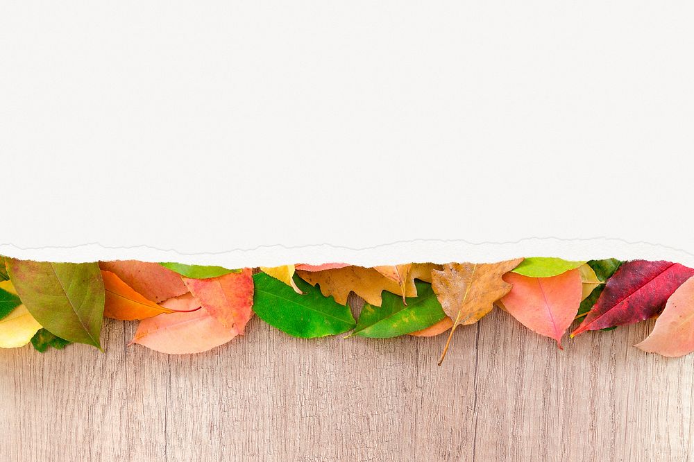 Orange leaves background ripped paper, autumn aesthetic border