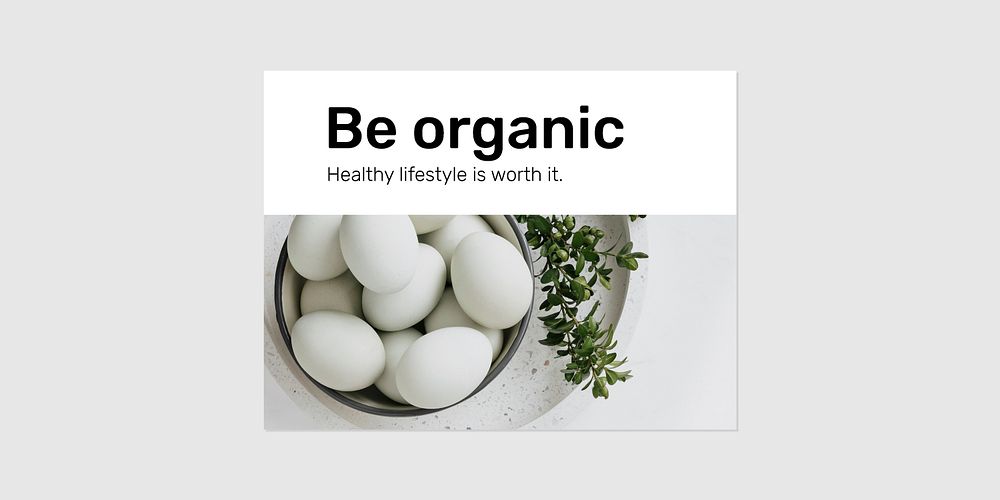 Organic food banner template vector