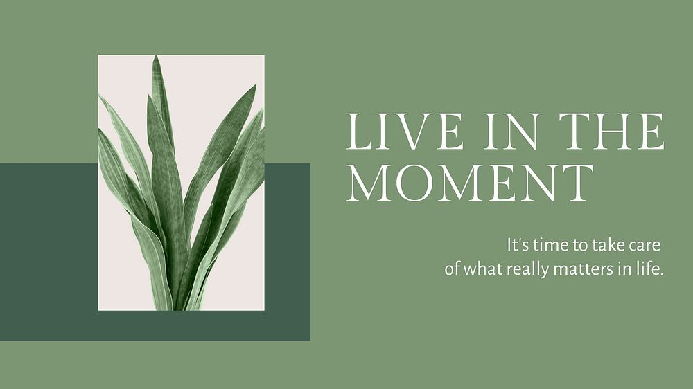 Live in the moment inspirational quote minimal plant blog banner