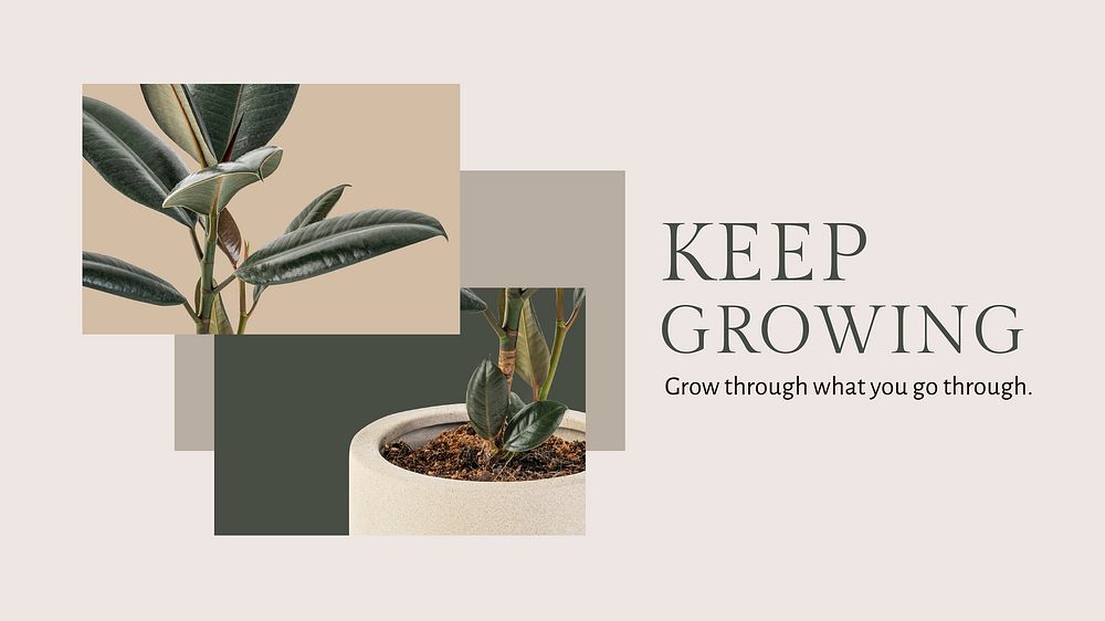 Keep growing inspirational quote minimal plant blog banner