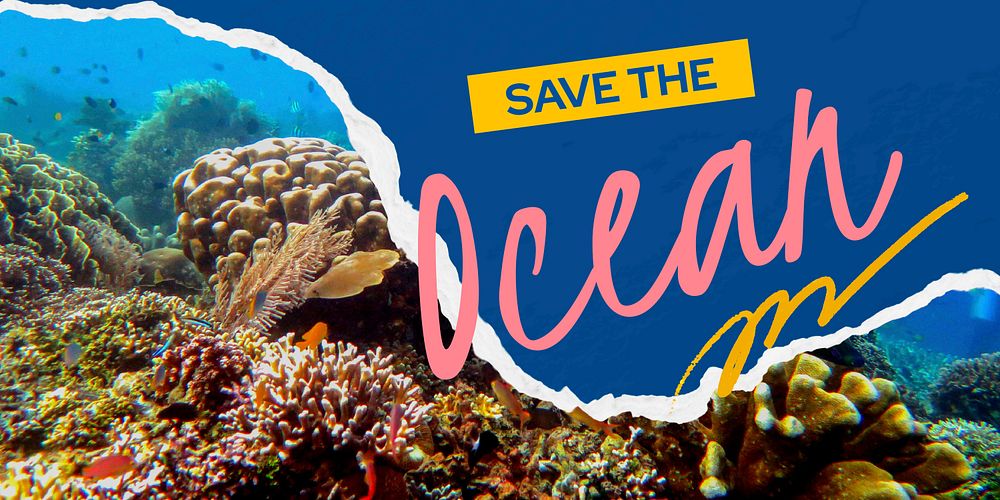 Coral reefs  Twitter post template, environmental campaign vector