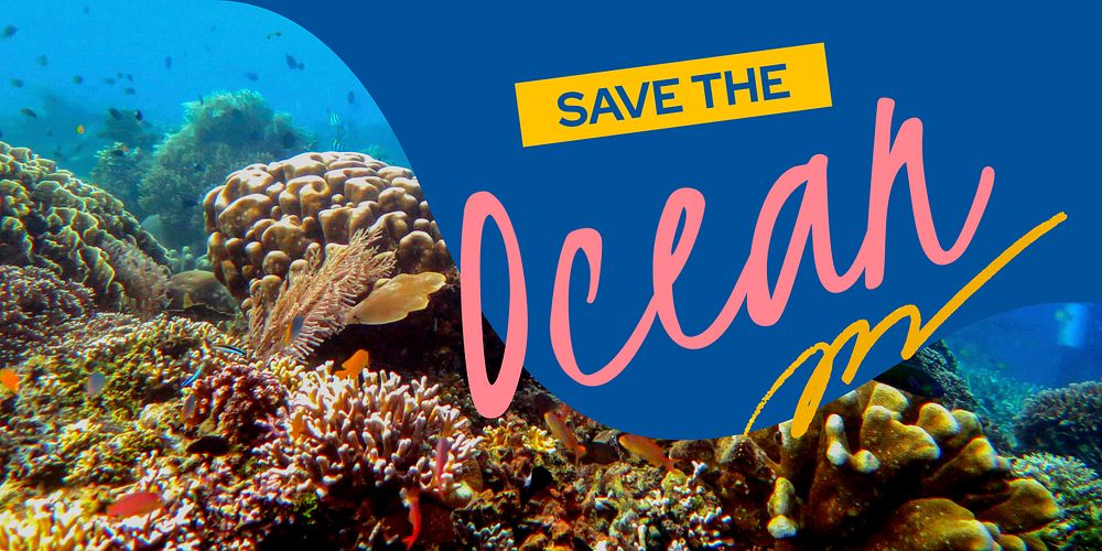 Coral reefs  Twitter post template, environmental campaign vector