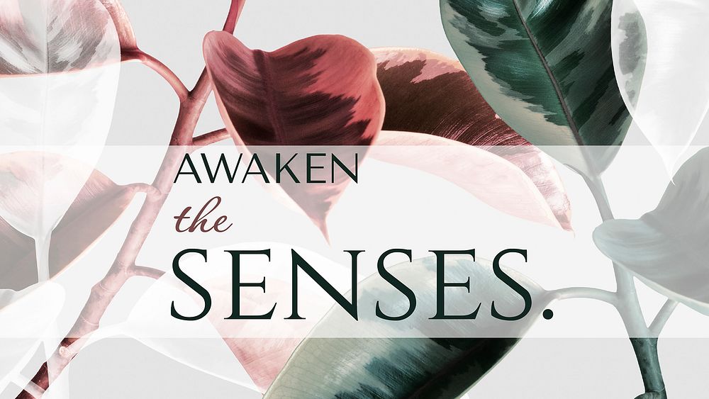 Leaf aesthetic banner template, awaken the senses quote vector