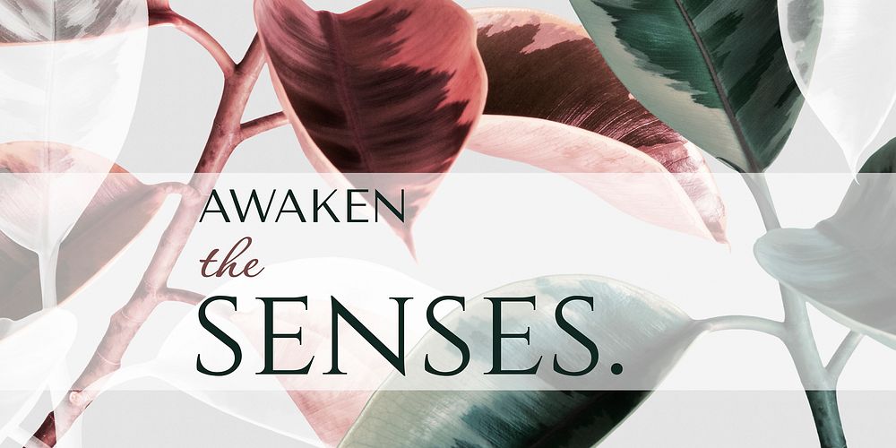 Leaf aesthetic Twitter post template, awaken the senses quote vector