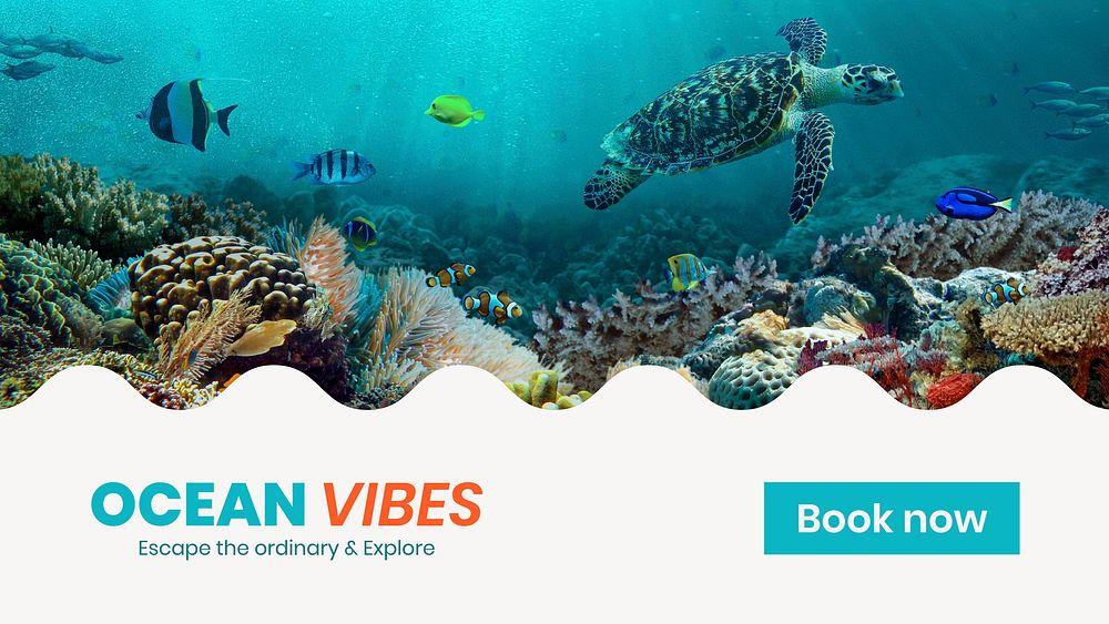 Ocean adventures blog banner template,  summer travel vector