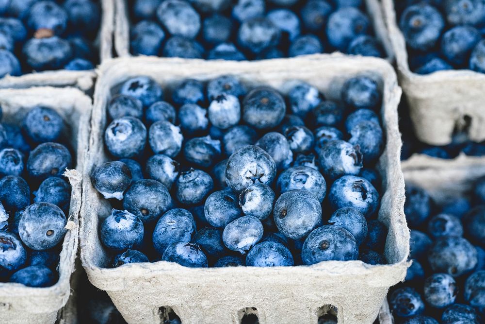 Baskets of fresh blueberries for sale at a farmer's market. Original public domain image from Wikimedia Commons