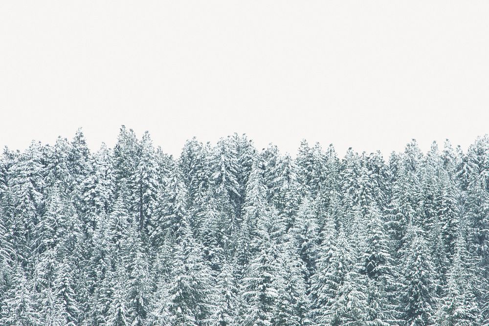 Snowy pine tree collage element, natural scenery psd