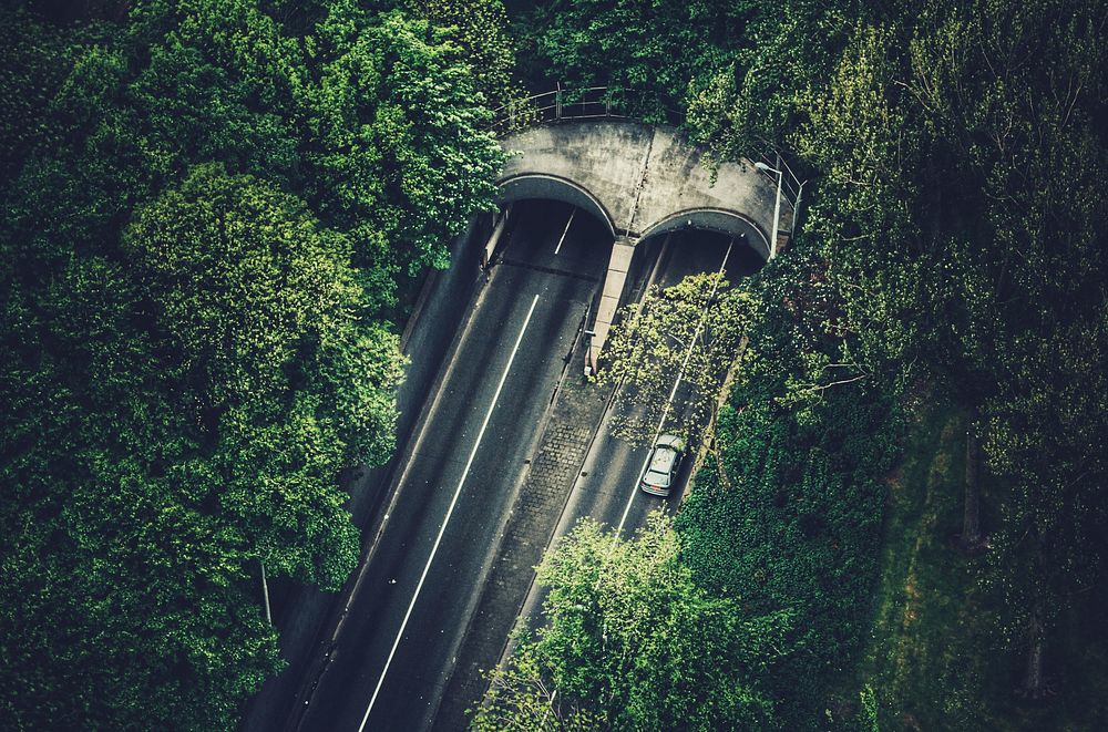 Drone shot of highway tunnel in Rotterdam surrounded by trees and forest. Original public domain image from Wikimedia Commons