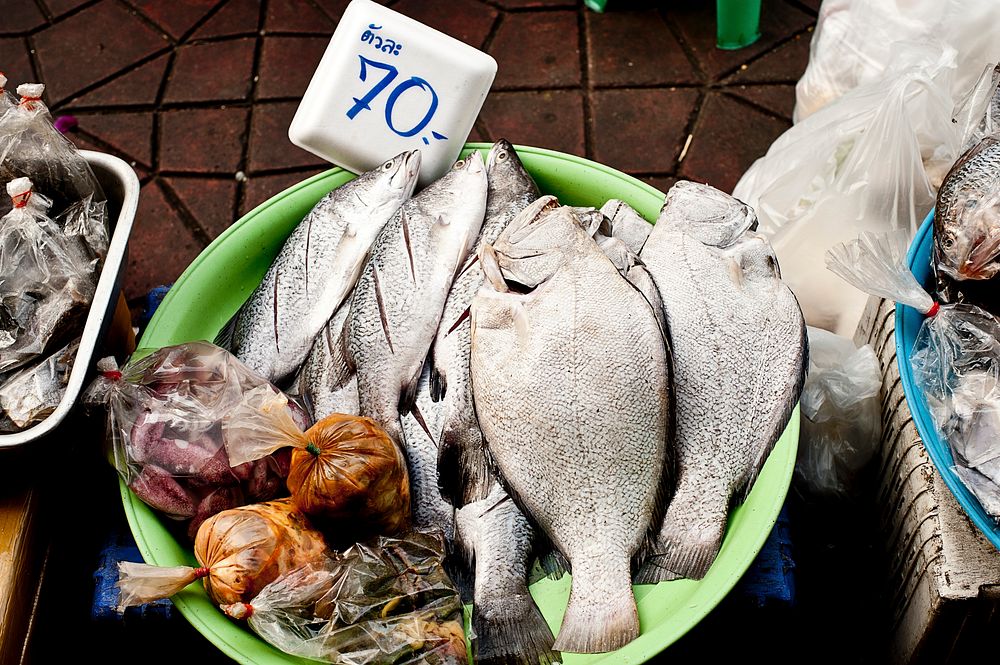 Fish in a large bowl at a fishmonger's stall at a fish market. Original public domain image from Wikimedia Commons