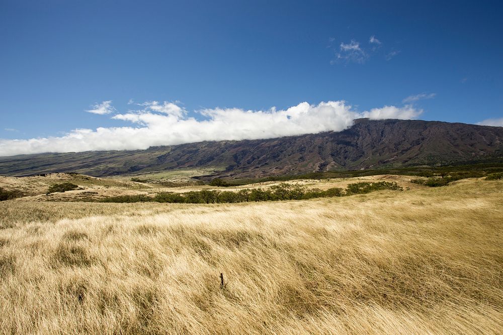 A field of dry grass at the food of a long mountain range. Original public domain image from Wikimedia Commons