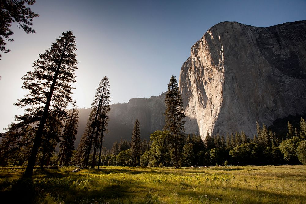 The sunlit face of El Capitan in Yosemite surrounded by evergreen trees. Original public domain image from Wikimedia Commons