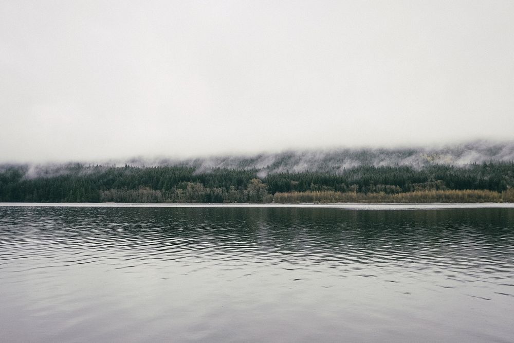 A view of a lake and an evergreen forest enveloped in a dense fog on the other side. Original public domain image from…