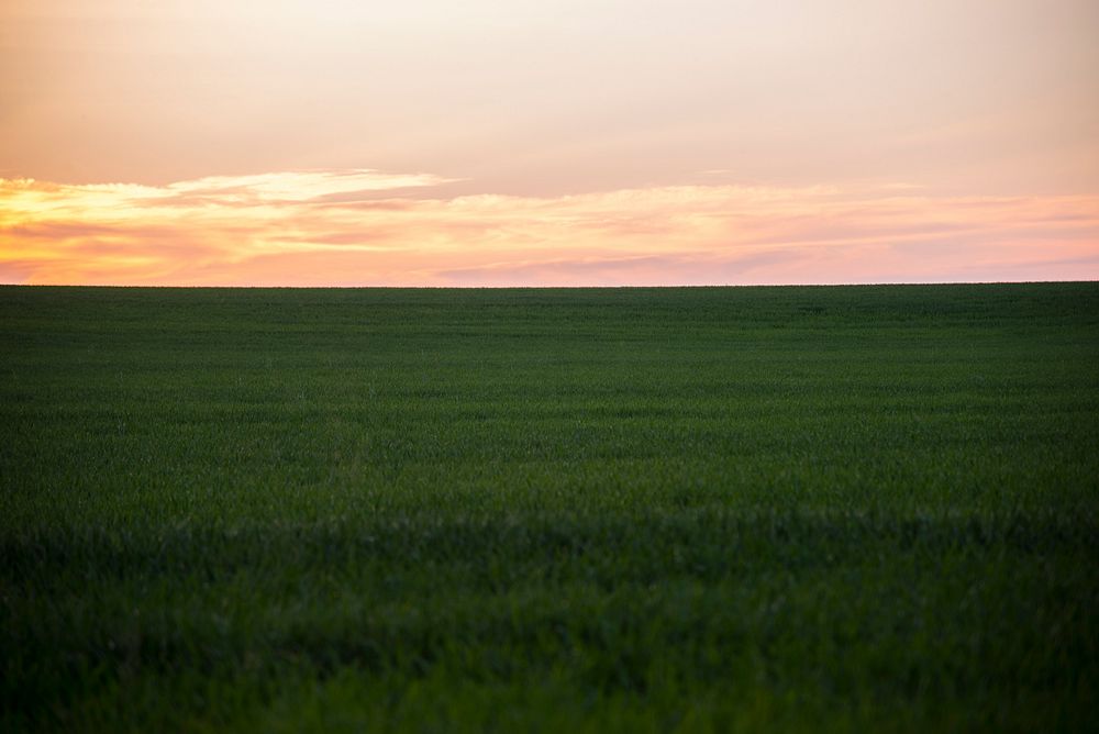 Lush green prairie fields at sunrise. Original public domain image from Wikimedia Commons