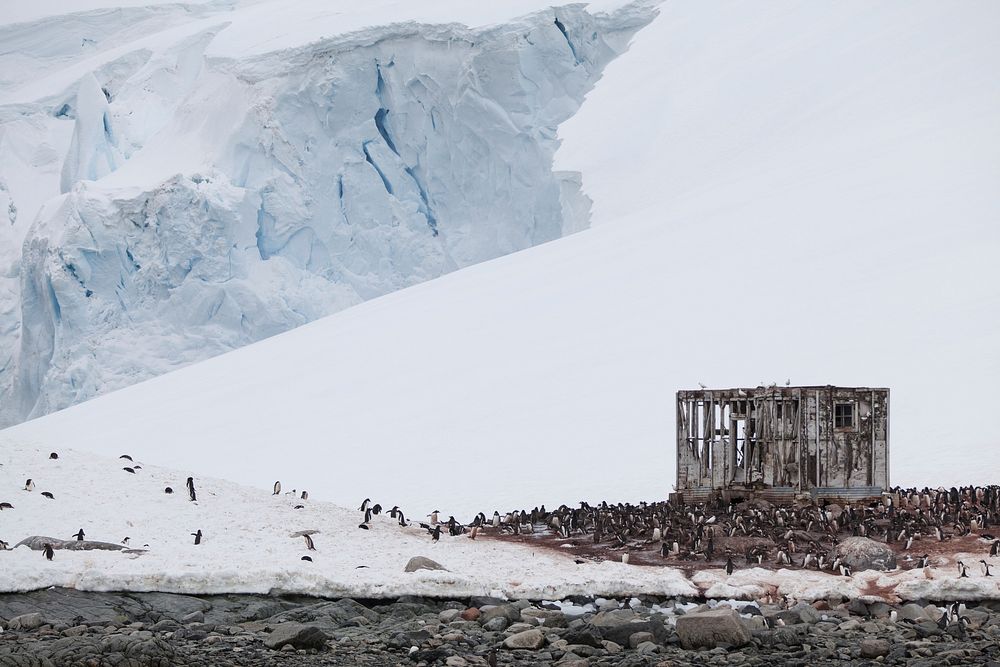 Abandoned base taken over by penguins. Original public domain image from Wikimedia Commons