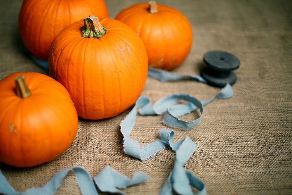 A collection of seasonal pumpkins and a ribbon in Scotland. Original public domain image from Wikimedia Commons