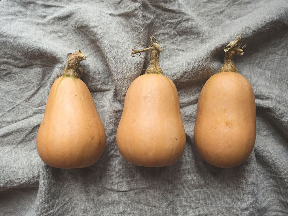 Three butternut squash on a gray linen. Original public domain image from Wikimedia Commons
