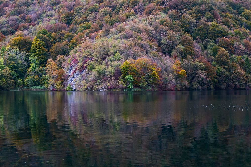 Colorful bushes and trees on the shore of a quiet lake in Plitvice Lakes National Park. Original public domain image from…