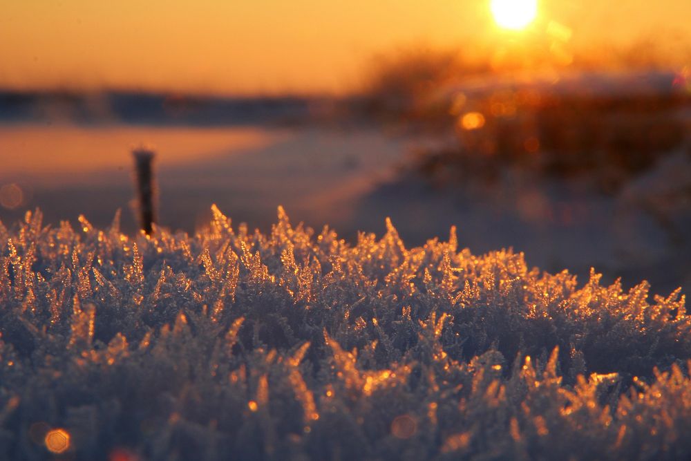 A macro view of frozen ice while the sun setting in Sestroretsk.. Original public domain image from Wikimedia Commons