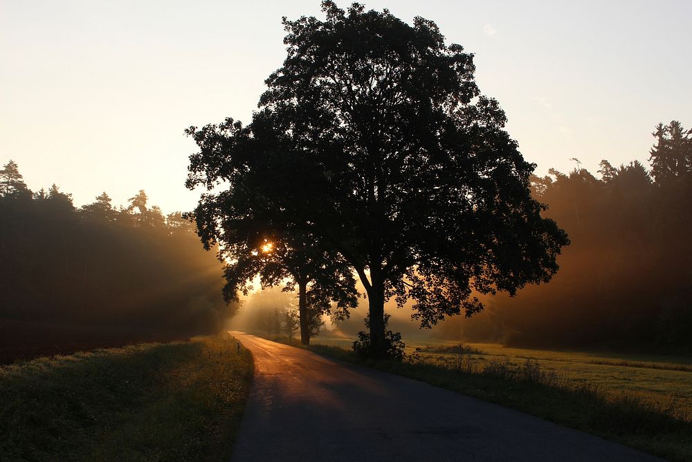 The sun setting behind a tree on a rural country road in Bavaria, Germany. Original public domain image from Wikimedia…