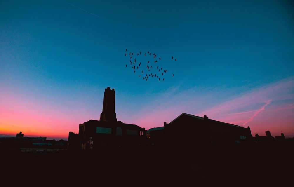 A flock of birds in silhouette over an industrial chimney during a pink and orange sunset at Ashbury Park.. Original public…