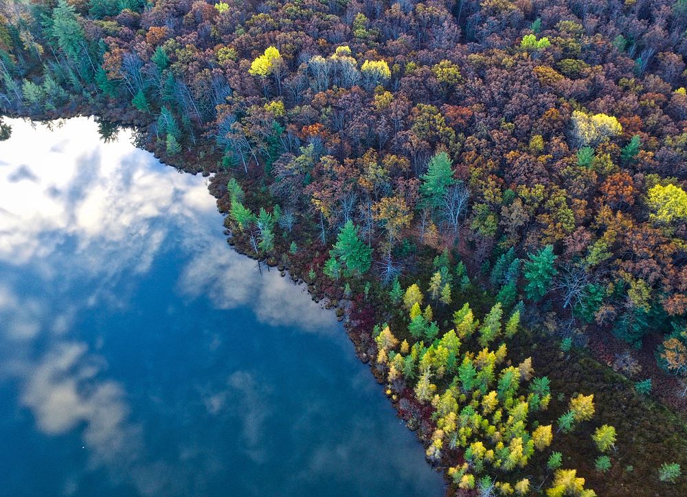 A drone view of Lake Michigan and the forest in the fall in Prudenville, Michigan, United States. Original public domain…