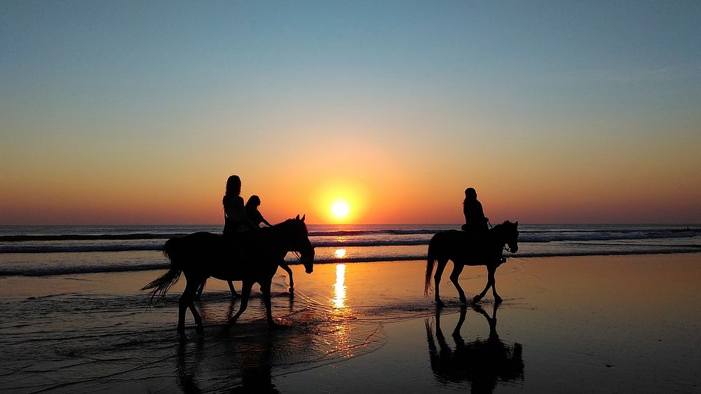 Silhouettes of people riding horses through shallow water on a beach during sunset. Original public domain image from…