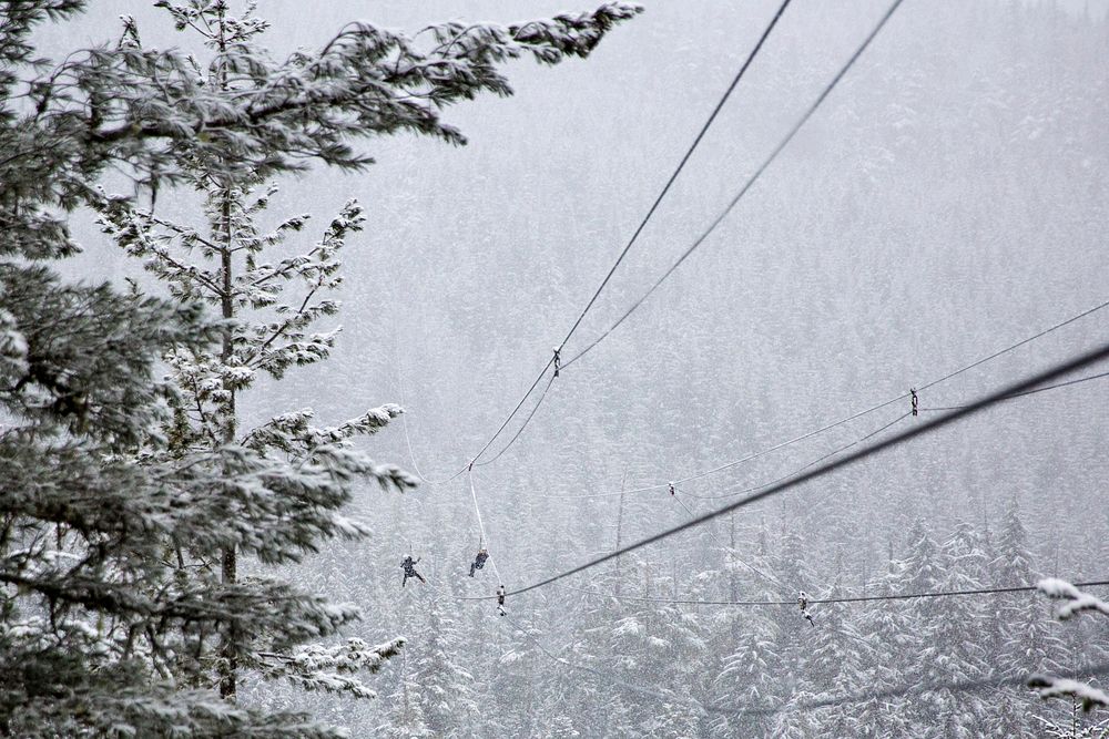 Power Lines in a treed forest covered in snowfall in Whistler, BC. Original public domain image from Wikimedia Commons