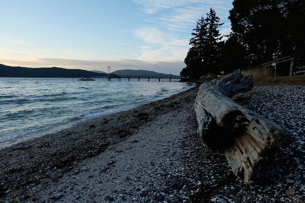 Old log on the rocky beach after sunset. Original public domain image from Wikimedia Commons