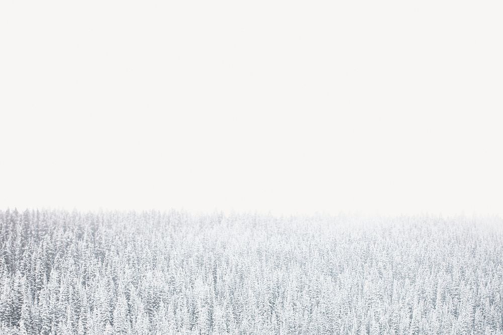 Snow covered woodland border, nature image psd