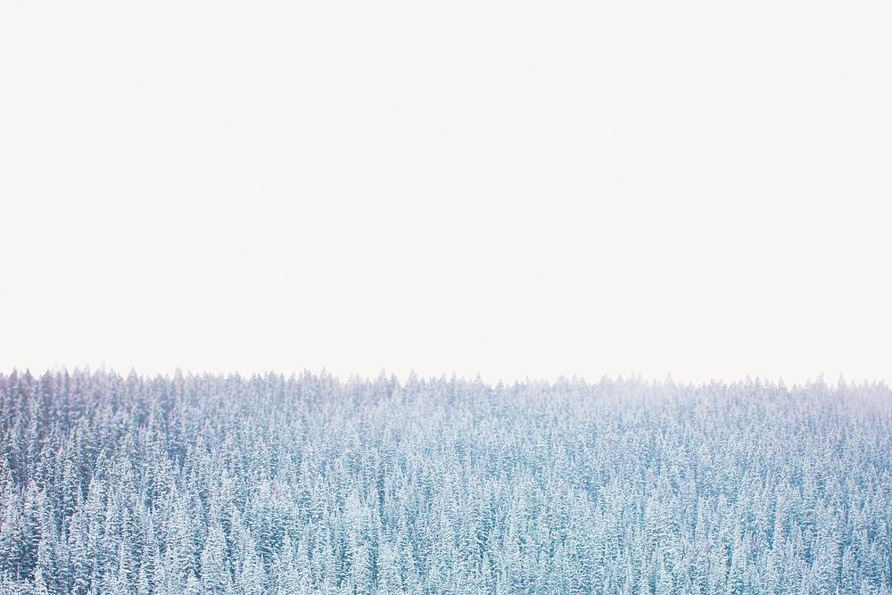 Snow covered woodland border, nature image psd