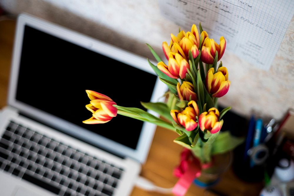A bouquet of fiery tulips on a desk near a laptop. Original public domain image from Wikimedia Commons