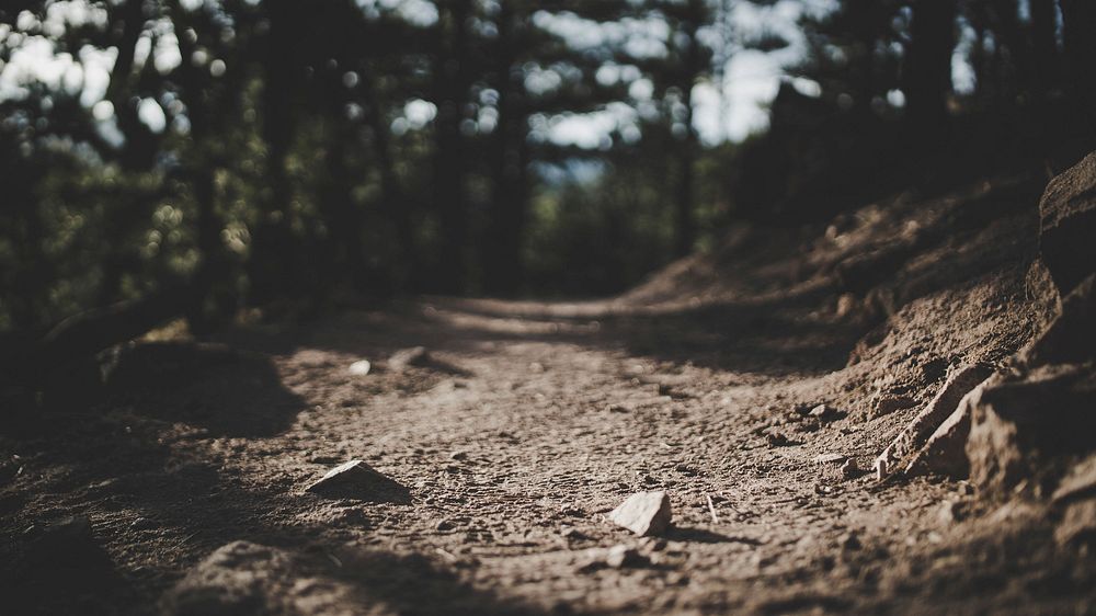A macro shot of a dirt path in Mount Sanitas Trail in Boulder, Colorado. Original public domain image from Wikimedia Commons